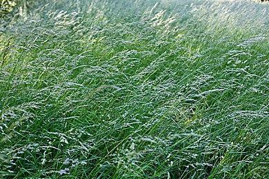 《杀手3》VR版将独占登录Meta Quest 3平台 宣传预告放出